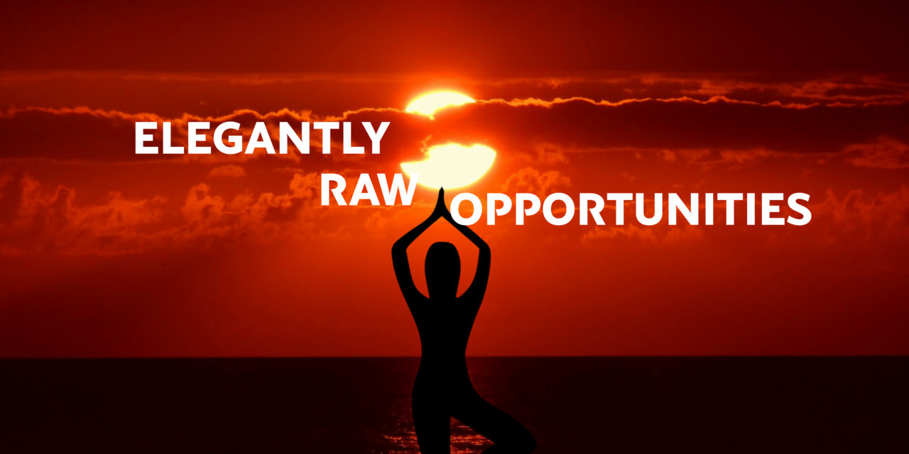 Elegantly Raw Opportunities